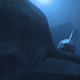 Illustration for article titled emMega Shark vs Mecha Shark/em - Like emPacific Rim/em with sharks